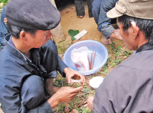 Lễ cúng thần rừng ảnh 5