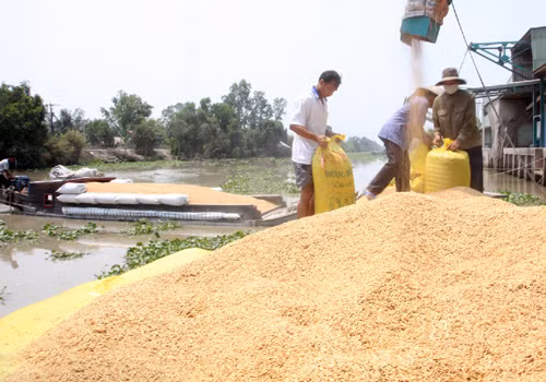 Gắn xuất khẩu nông sản với tái cơ cấu nông nghiệp ảnh 1