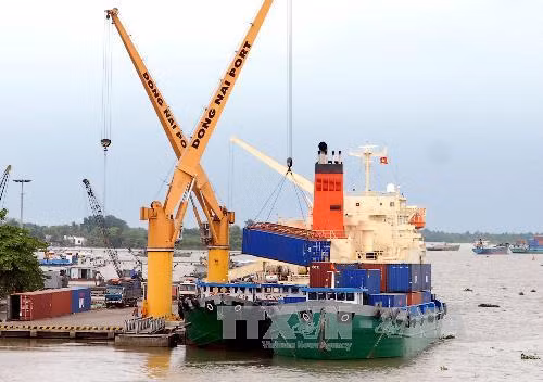 Đồng Nai xây dựng hệ thống logistics chuyên nghiệp, hiện đại ảnh 1
