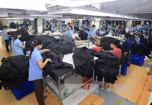 Bị xử phạt về môi trường sẽ không được là 'Doanh nghiệp xuất khẩu uy tín' ảnh 1