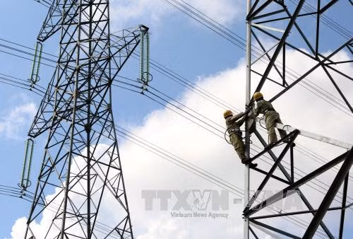 Cần xử lý nghiêm hành vi xâm phạm hành lang lưới điện cao áp ảnh 1