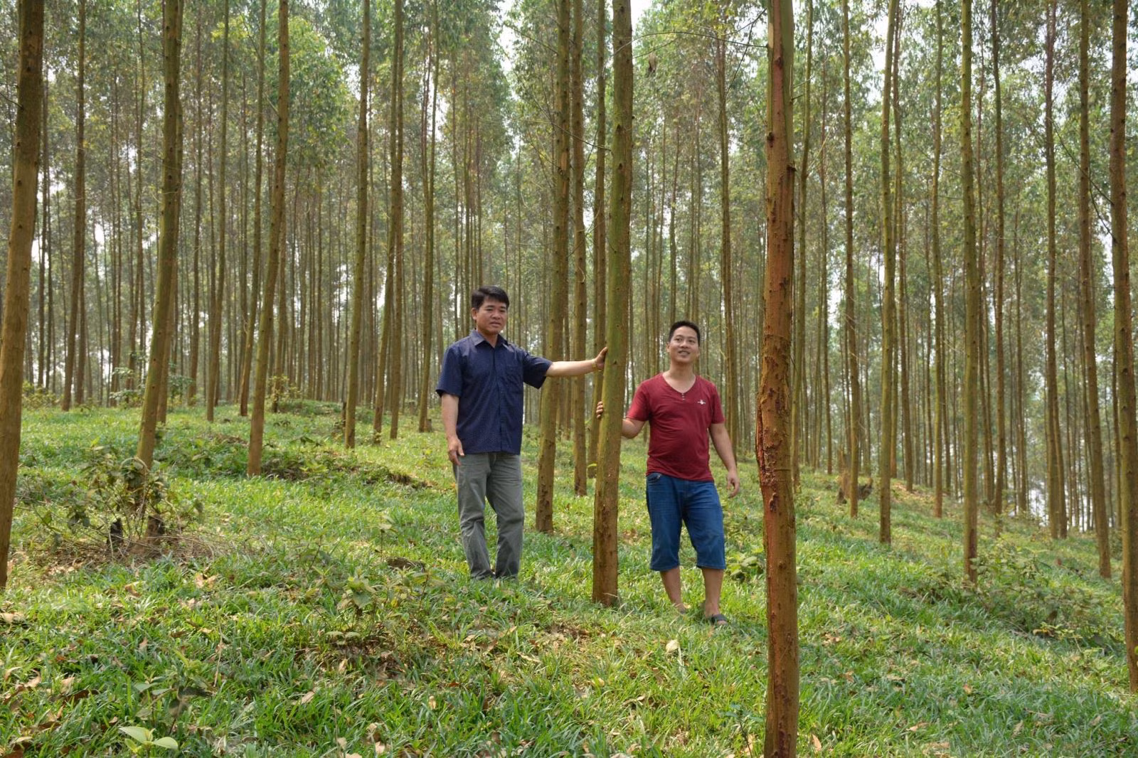 Chú thích ảnh