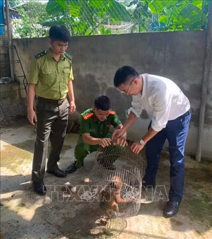 Chú thích ảnh