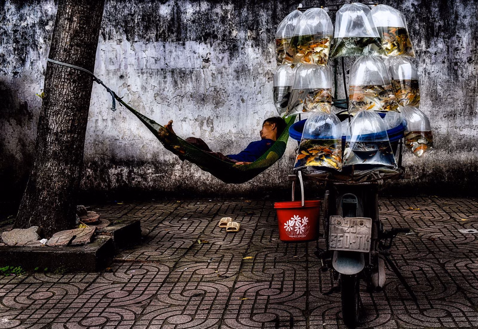 Chú thích ảnh