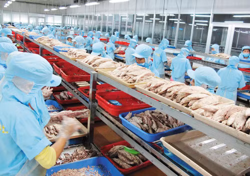Phát triển thủy sản vùng ĐBSCL: Phát triển công nghiệp chế biến ảnh 1