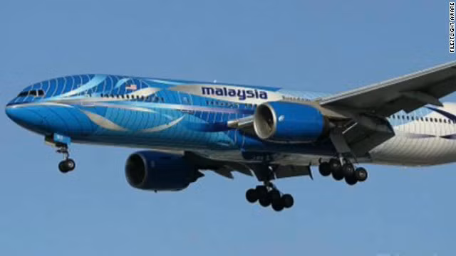 Chuyên gia phân tích số phận máy bay Malaysia mất tích ảnh 1