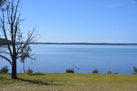 Du khách 'ba lô' mất tích tại Australia sống sót nhờ ăn… sâu bọ ảnh 1