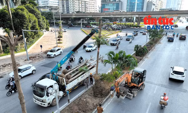 'Hạ giải' cây xanh để xây hầm chui thứ 8 ở Hà Nội