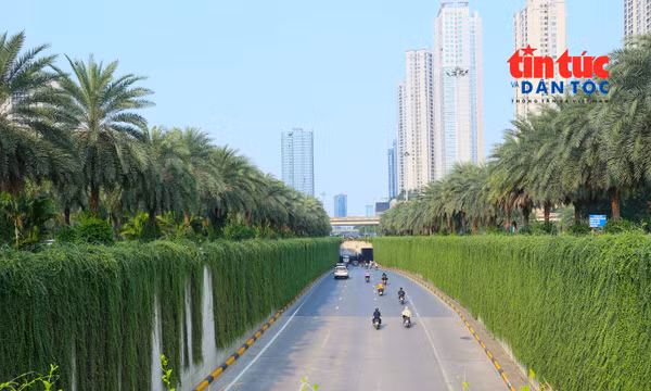 Cận cảnh thí điểm phủ xanh cầu vượt, hầm chui ở Hà Nội
