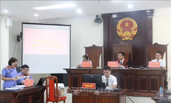 Viện kiểm sát khởi kiện thu hồi hơn 19,3 ha đất công ở Hà Nội