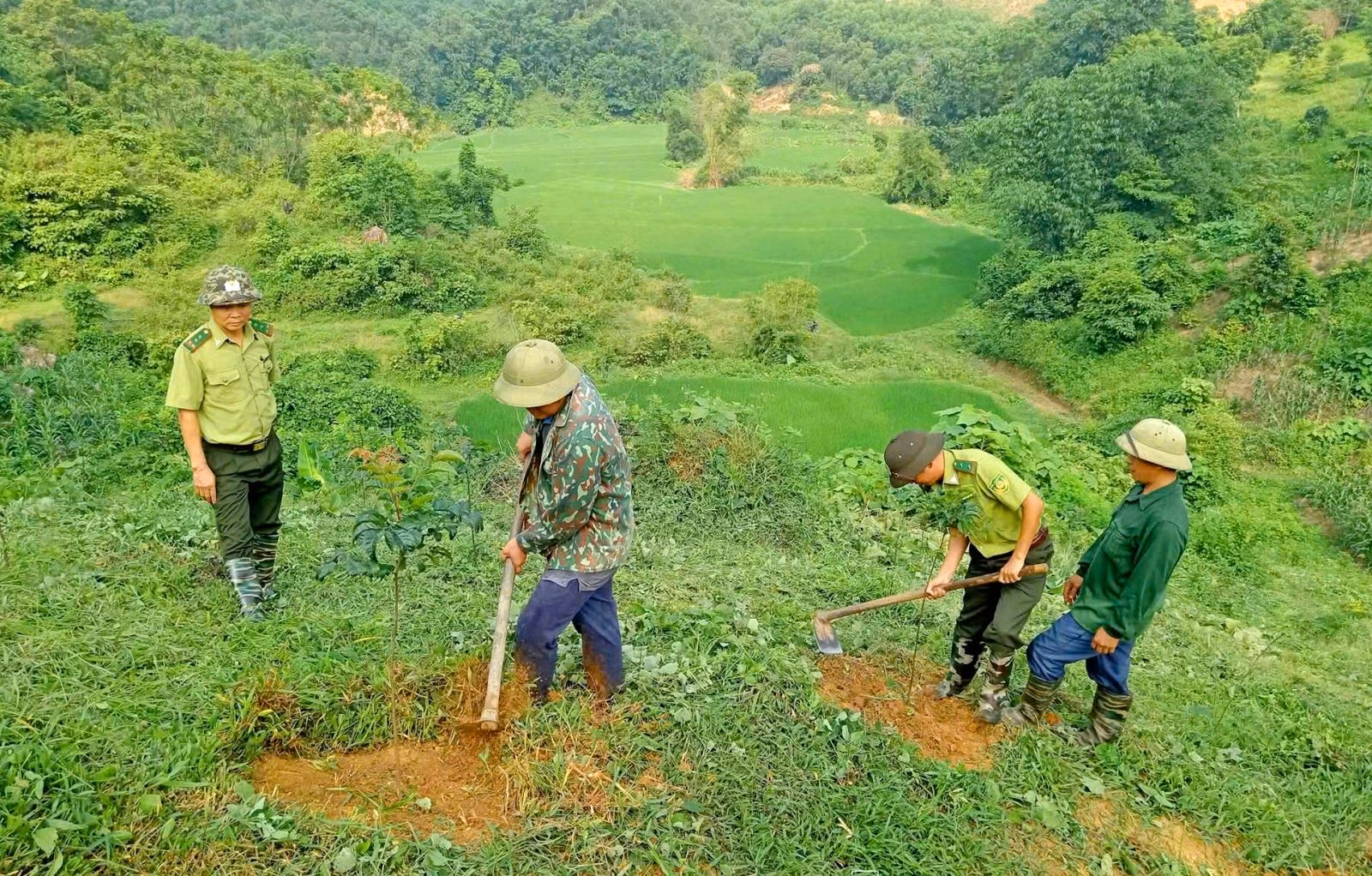 Chú thích ảnh
