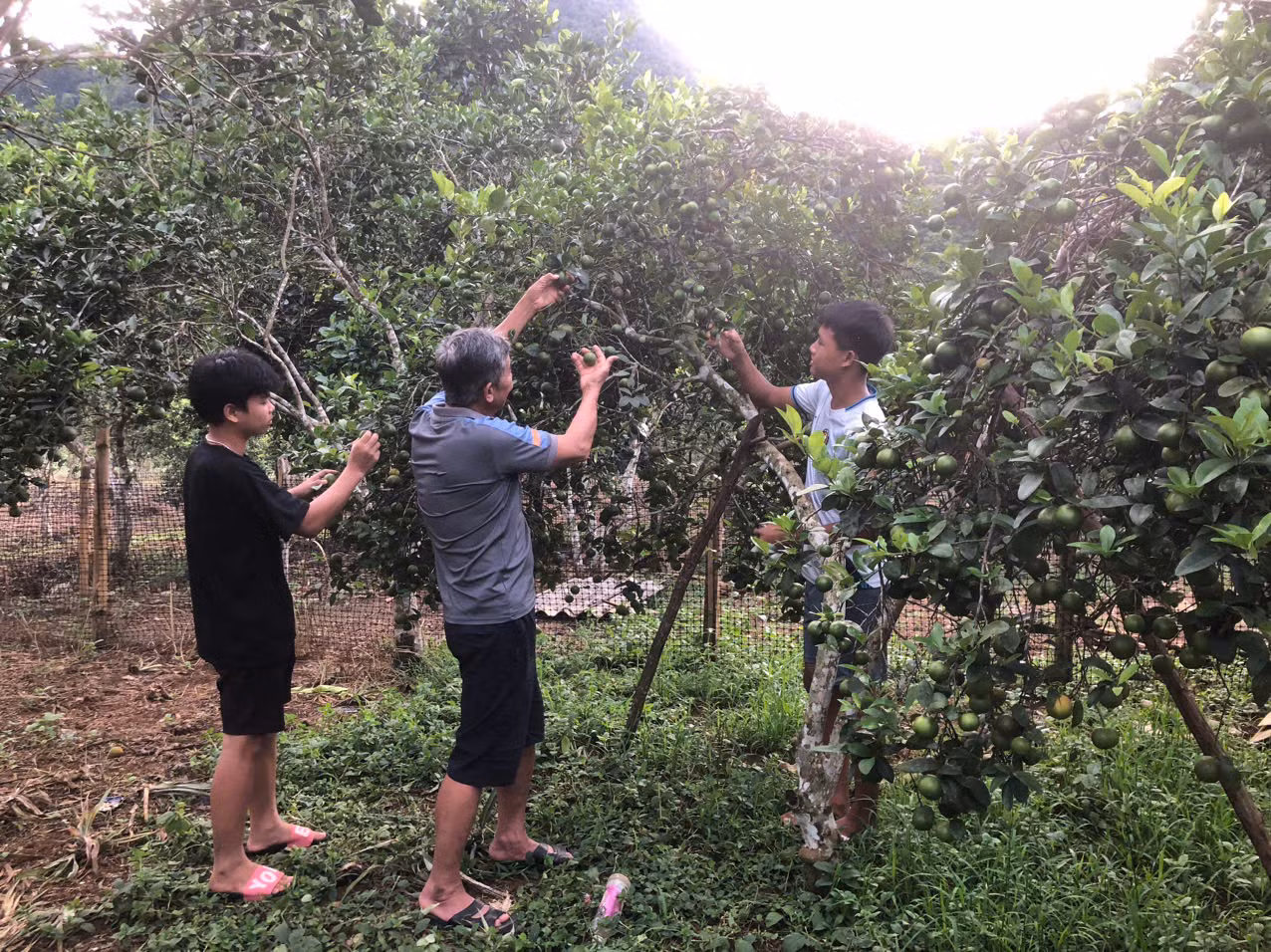 Chú thích ảnh