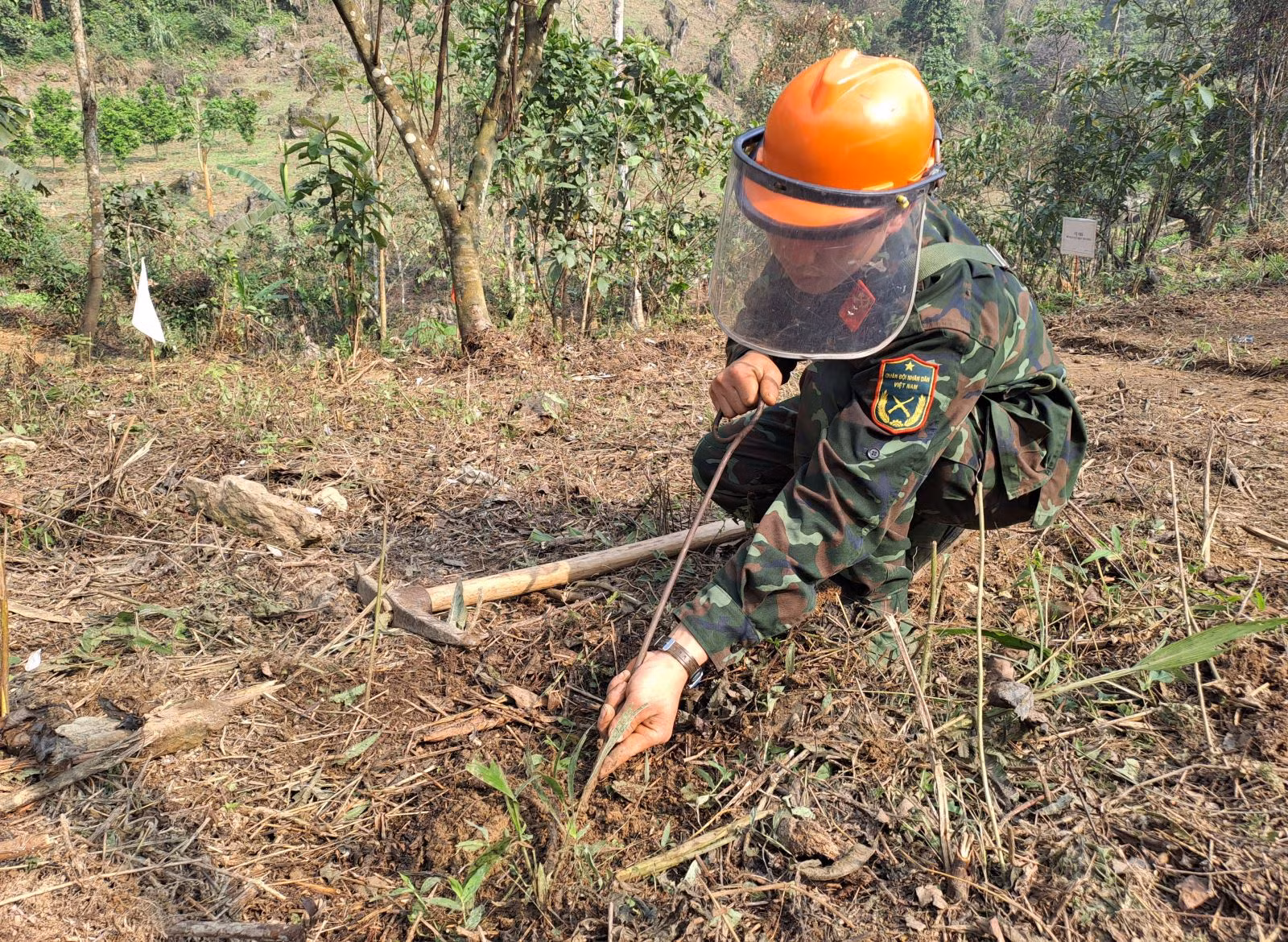 Chú thích ảnh