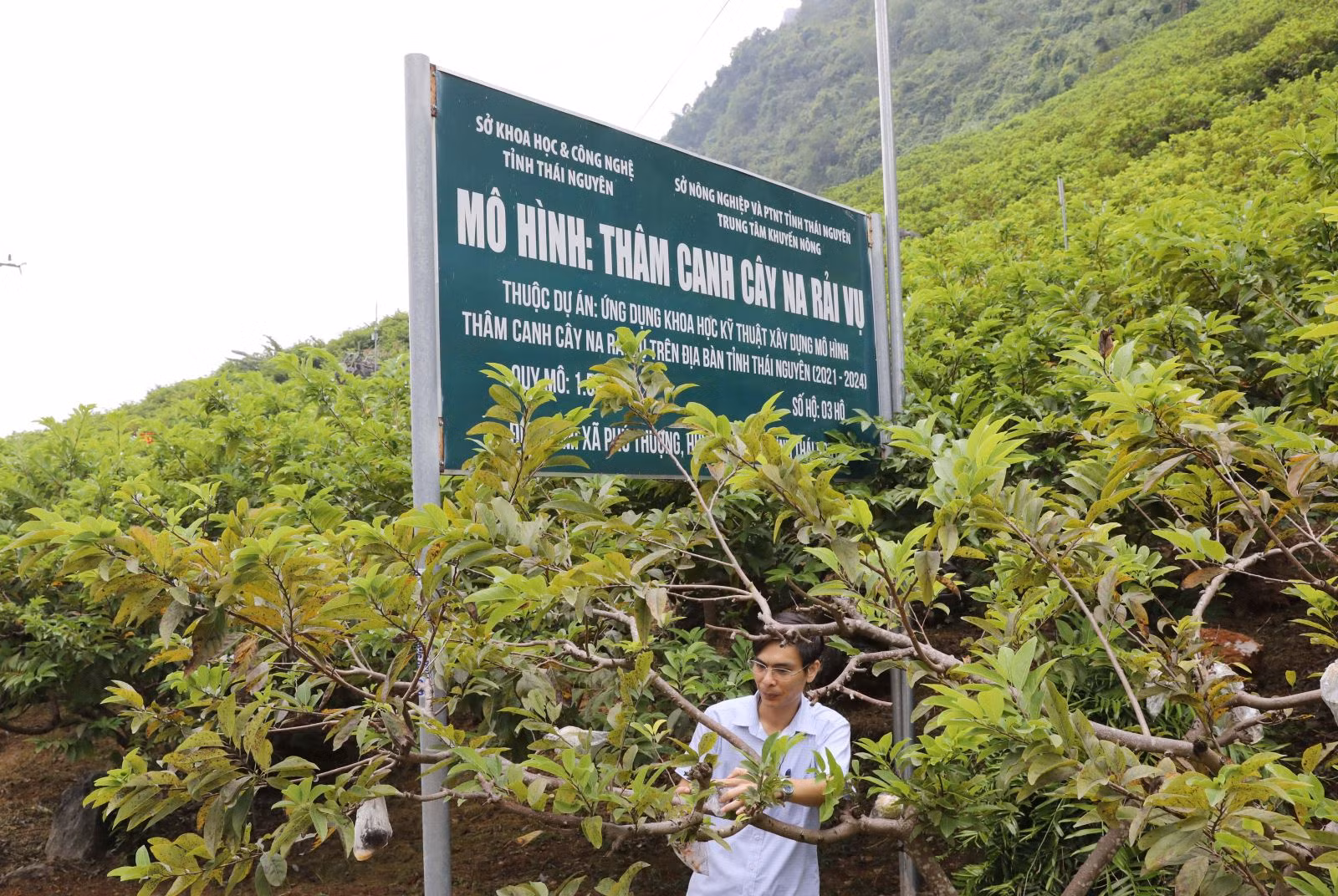 Chú thích ảnh