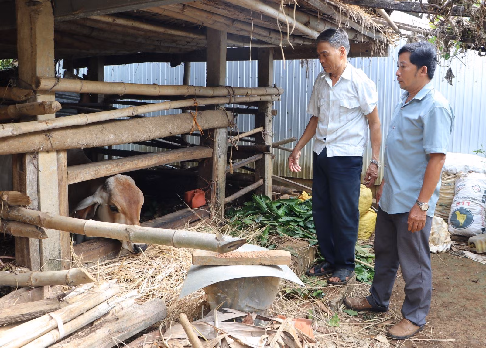 Chú thích ảnh