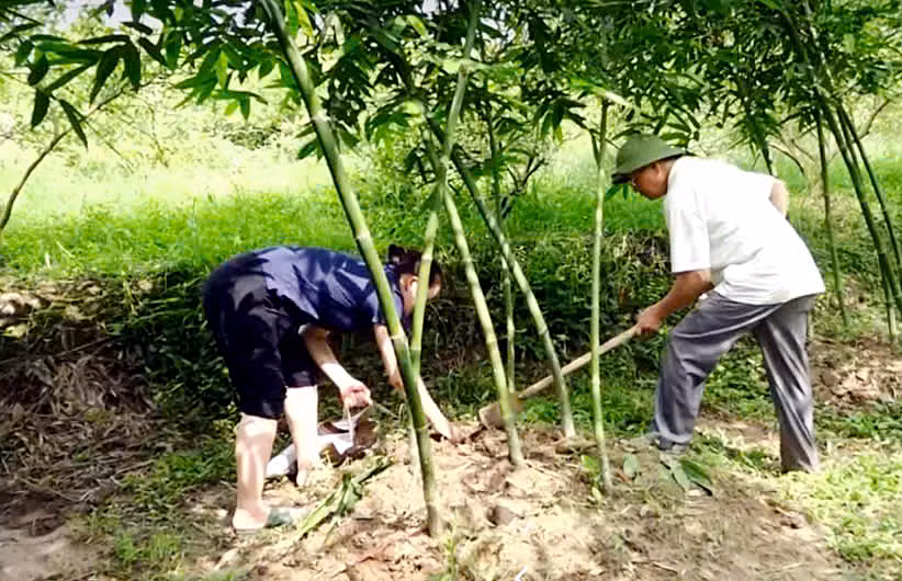 Chú thích ảnh