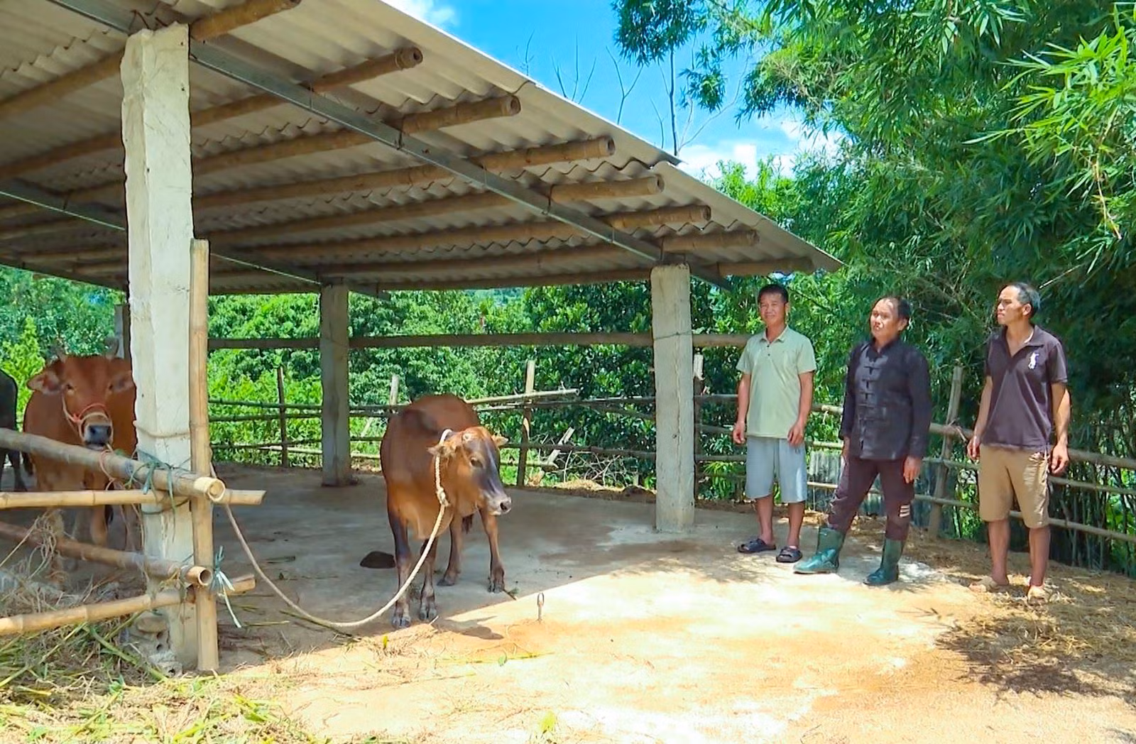 Chú thích ảnh