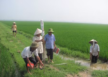 Năm 2013, Hà Nội sẽ dồn điền đổi thửa xong ảnh 1