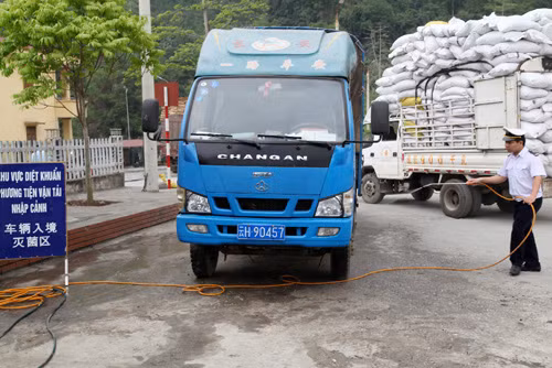 Truy tìm 'thủ phạm' gieo rắc virút cúm A/H7N9 ảnh 1