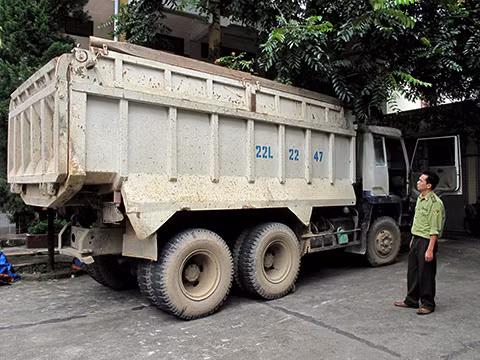 Hàng trăm cây nghiến cổ thụ bị chặt trộm tại Hà Giang ảnh 1