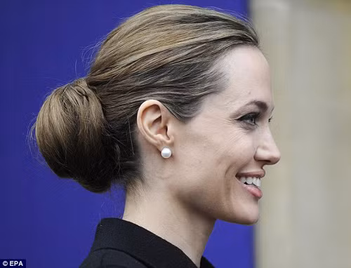 Angelina Jolie thành chính khách Hội nghị G8 ảnh 3