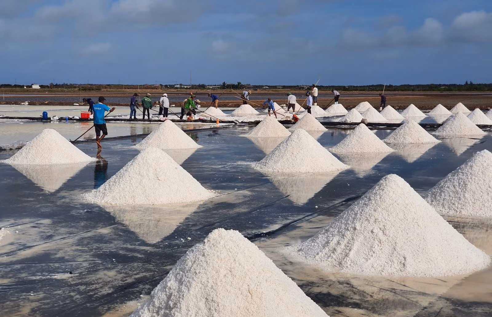 Sản xuất muối là một trong những nghề truyền thống lâu đời của diêm dân Bạc Liêu.
