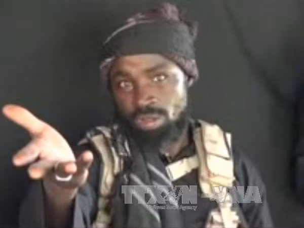 Thủ lĩnh của Boko Haram bị thương trong vụ không kích của quân đội Nigeria ảnh 1