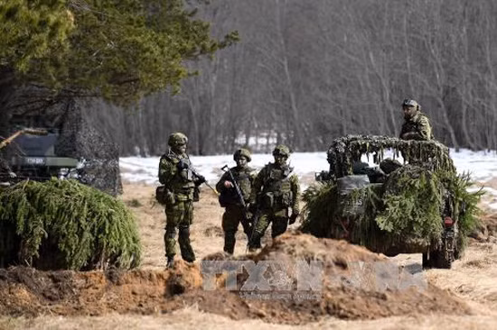 NATO tiến hành tập trận tại Estonia ảnh 1
