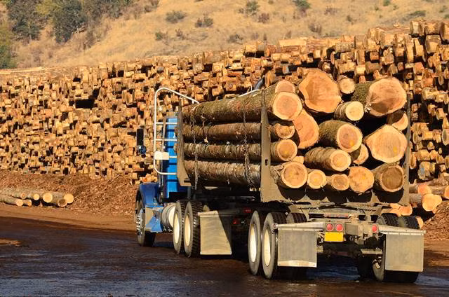 Canada cân nhắc trả đũa thương mại Mỹ ảnh 1
