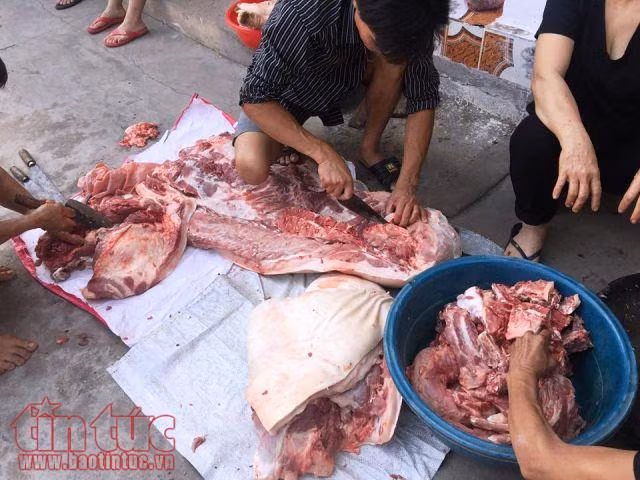 Tranh thủ thịt lợn rẻ, nhiều nhà chung nhau mua cả con… ăn dần ảnh 2