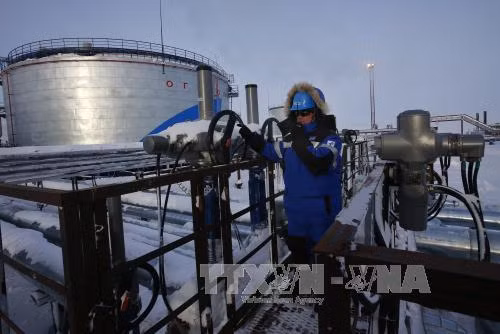 Các nước ngoài OPEC giảm sản lượng 558.000 thùng dầu/ngày ảnh 1