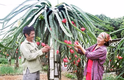 Điện Biên cần tăng cường nguồn vốn tín dụng chính sách ảnh 2