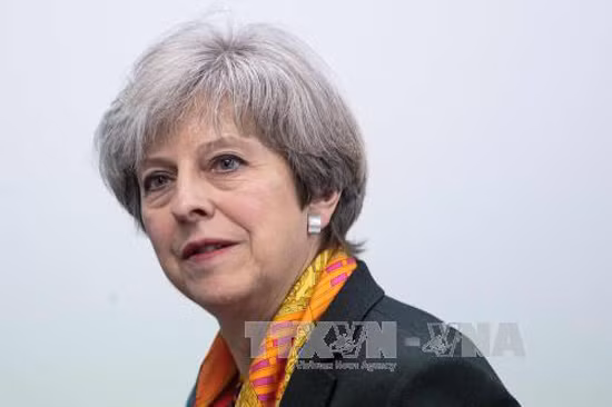 Thủ tướng Anh thảo luận Brexit với Tổng thống đắc cử Pháp ảnh 1