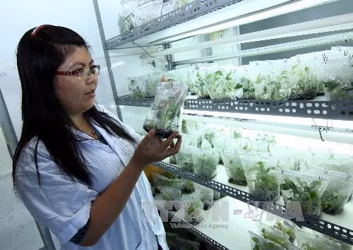 Hỗ trợ chuyển giao khoa học công nghệ cho doanh nghiệp ảnh 1