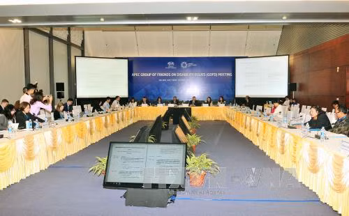 Thảo luận nhiều nội dung hướng tới Hội nghị lần thứ hai các quan chức cao cấp APEC ảnh 2
