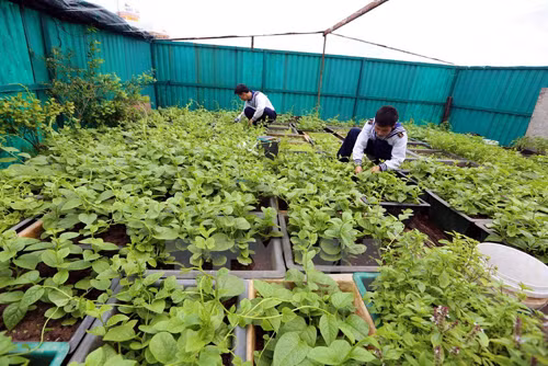 Chung tay giữ nước ngọt cho huyện đảo Trường Sa ảnh 1