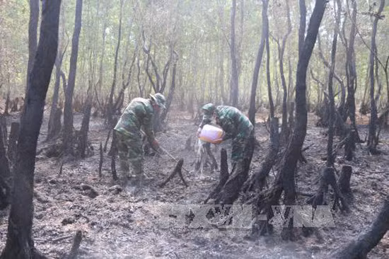 Phó Thủ tướng Thường trực Chính phủ Trương Hòa Bình yêu cầu làm rõ một số vụ phá rừng, cháy rừng ảnh 1