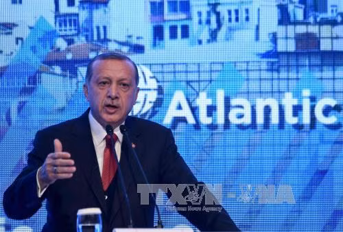 Thổ Nhĩ Kỳ: AKP bầu lại Tổng thống Erdogan giữ chức Chủ tịch đảng ảnh 1