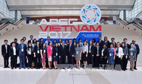 Thảo luận nhiều nội dung hướng tới Hội nghị lần thứ hai các quan chức cao cấp APEC ảnh 1