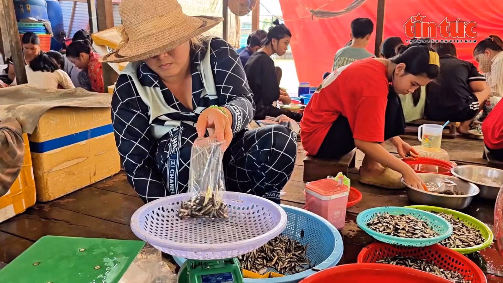 Chú thích ảnh