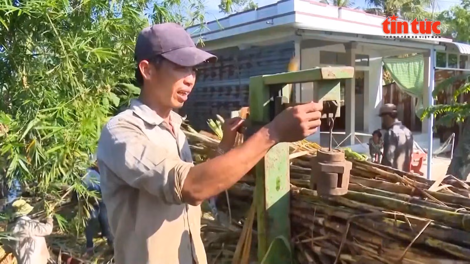 Chú thích ảnh