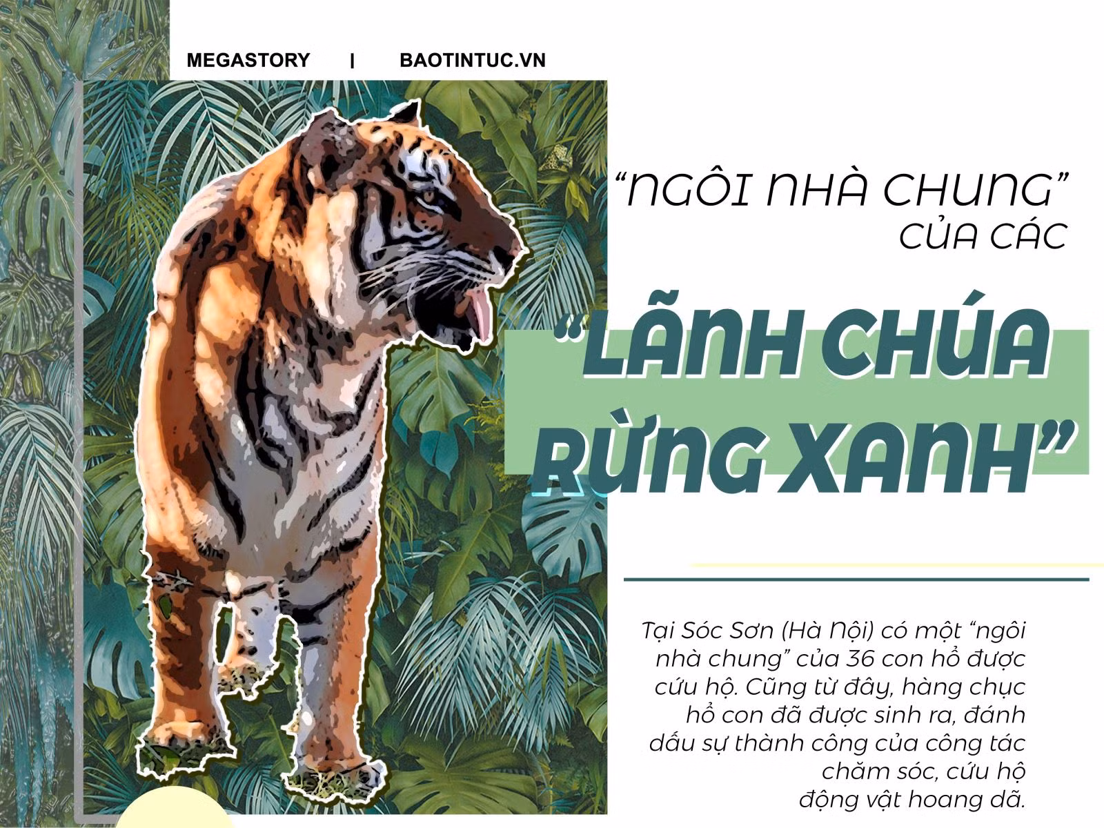 'Ngôi nhà chung' của các 'lãnh chúa rừng xanh'