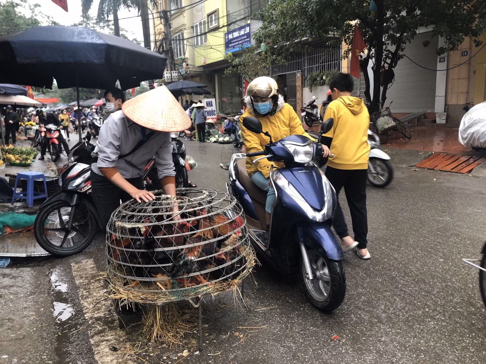 Chú thích ảnh