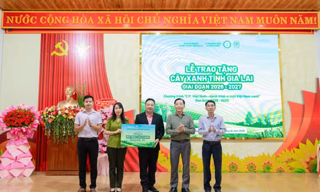 C.P Việt Nam tham gia phủ xanh tại tỉnh Gia Lai