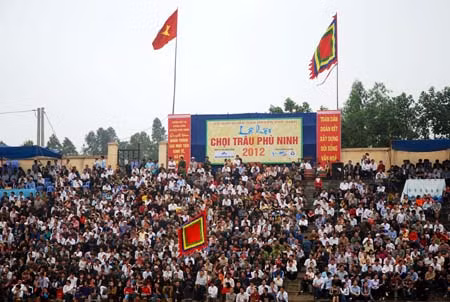 Độc đáo lễ hội chọi trâu trên đất Tổ ảnh 3