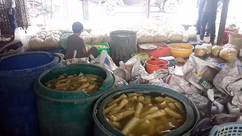 TPHCM: Phát hiện cơ sở “nhuộm vàng” măng tươi ảnh 1