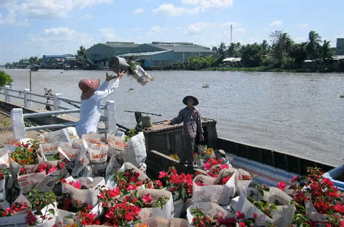 Làng nghề vào vụ Tết ảnh 1