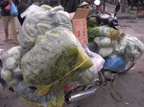 Công ty rau sạch tuồn rau bẩn vào trường học ảnh 1