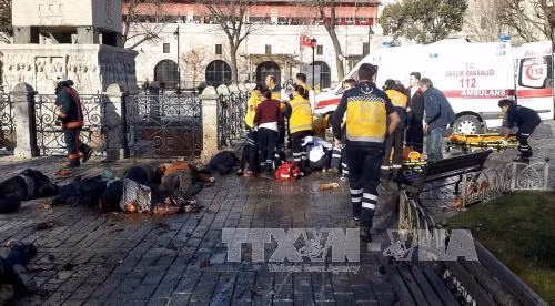 Hầu hết thương vong trong vụ đánh bom Istanbul là người Đức ảnh 1