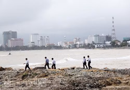 Chỉ có doanh nghiệp chịu trách nhiệm? ảnh 1